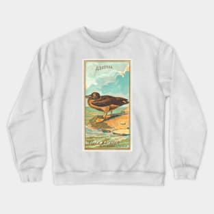 Albatross Crewneck Sweatshirt